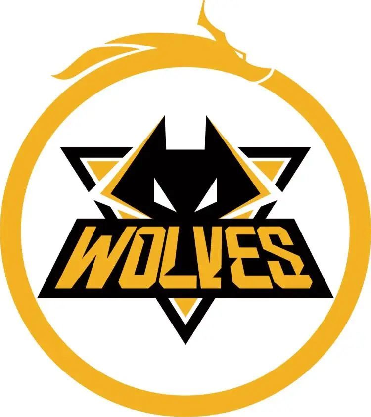 佛山GK遗憾止步2021王者荣耀挑战者杯半决赛